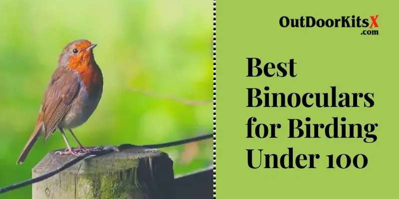 Best Binoculars for Birding Under 100