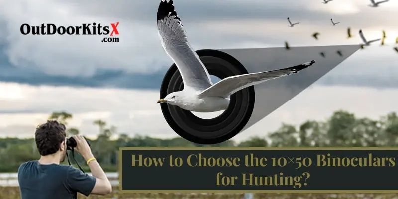 How to Choose the 10x50 Binoculars
