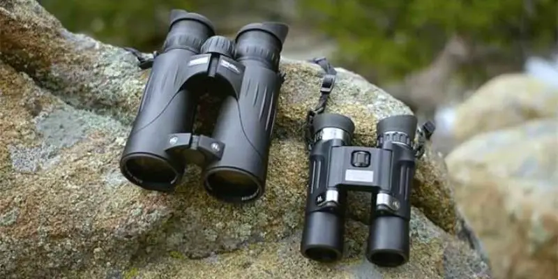 How to Pick the Best 10x42 Binoculars for Hunting