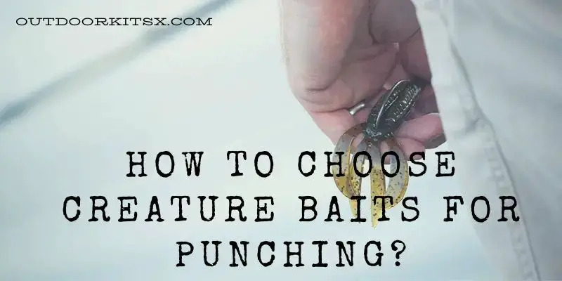 How To Choose Creature Baits For Punching